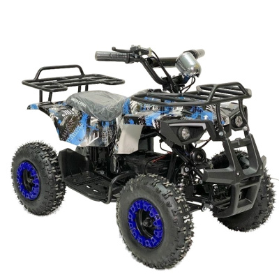 Квадроцикл GreenCamel Гоби K32 (30Ah 36V 800W R6 Цепь) синий экстрим 