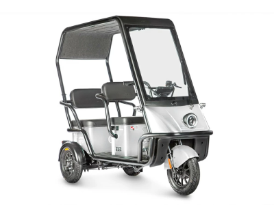 Электротрицикл Wanshida NIPLA 500 60V 1000Вт белый