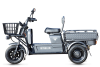 Грузовой электротрицикл Rutrike Баркас 740 60V1000W