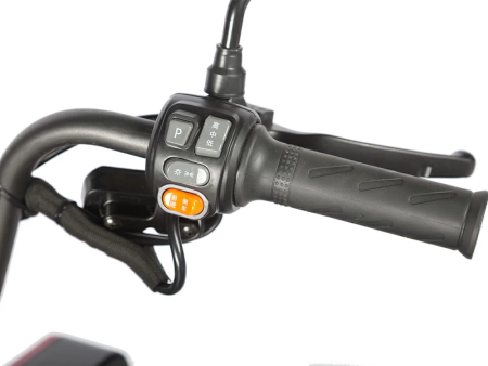 Электротрицикл Wanshida LC-F200 60V 1000Вт красный