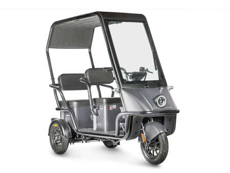 Электротрицикл Wanshida NIPLA 500 60V 1000Вт серый