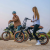 Электровелосипед WENBOX FATBIKE F15