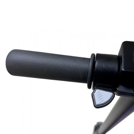 Детский электросамокат Wolong Q4