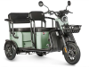 Электротрицикл Wanshida LC300 60V 1000Вт зеленый