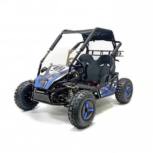 Багги GreenCamel Намиб T10 (60V20Ah 2000W R8 Дифф)