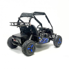 Багги GreenCamel Намиб T10 (60V20Ah 2000W R8 Дифф)