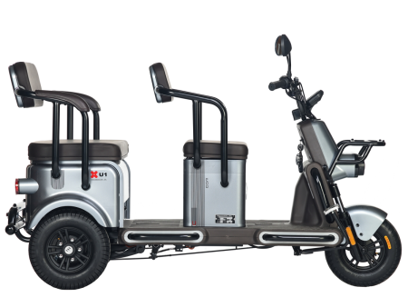 Электротрицикл Wanshida U1-X 60V 800Вт серый