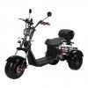 Электроскутер SKYBOARD Irtysh TRIKE BR40-3000 PRO Fast коричневый