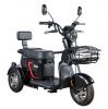 Пассажирский трицикл WHITE SIBERIA SIBTRIKE L 2000W