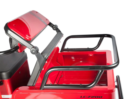 Электротрицикл Wanshida LC-F200 60V 1000Вт красный