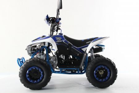 Подростковый квадроцикл Motax Mikro 110 NEW Синий