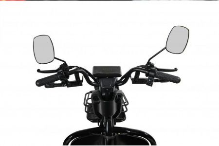 Пассажирский трицикл WHITE SIBERIA SIBTRIKE R 2000W