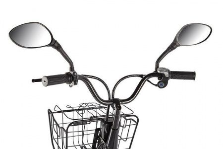 Велогибрид GREEN CITY e-ALFA Fat серебристый