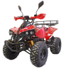 Квадроцикл GreenCamel Atakama T500 (60V 1500W R8 Дифференциал)