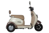 Электротрицикл Rutrike Gelbert Ogma 48V/60V 650Вт бело-коричневый