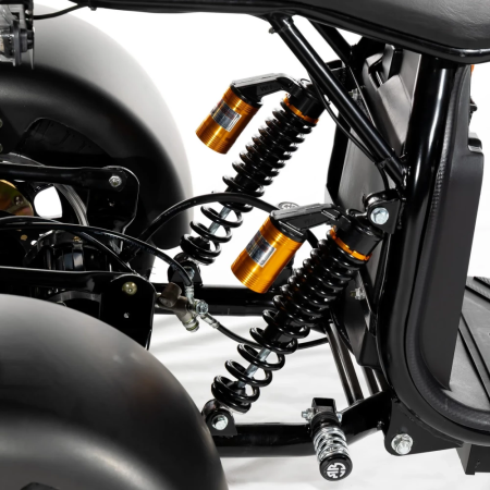 Трехколесный электроскутер CityCoco TRIKE GT-X11 Grand