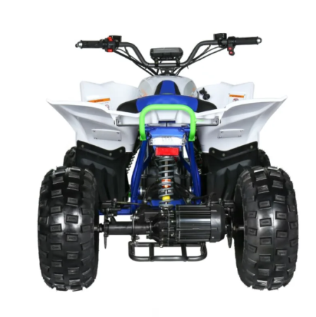 Электроквадроцикл MOTAX E-Pentora 1500W