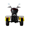 Электротрицикл SIBERTON PRO TRIKE 3000W